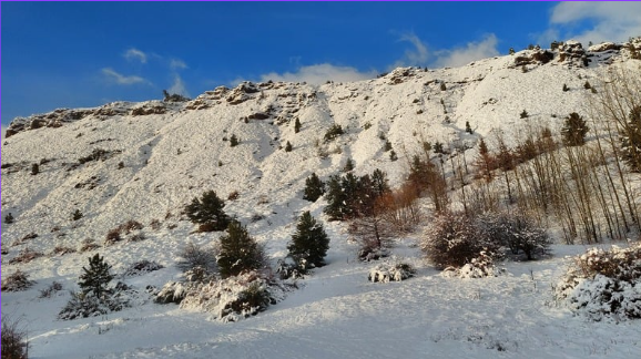 paisaje de la montaña nevada